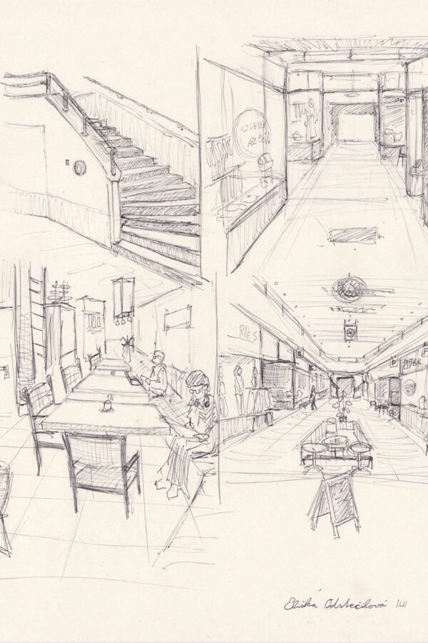 Eliška Odstrčilová, 2. ročník